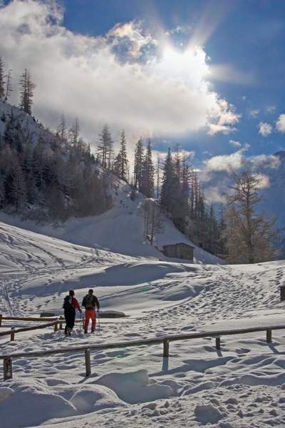 Swiss walk A3 copy.jpg - Swiss Walk